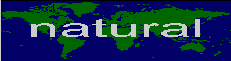 Natural World Wide Web Animated Logo